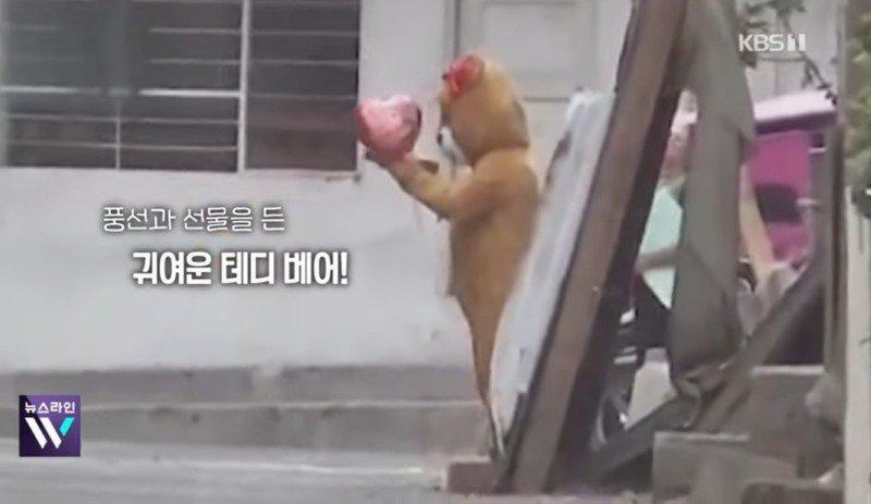 발렌타인데이 이벤트 레전드