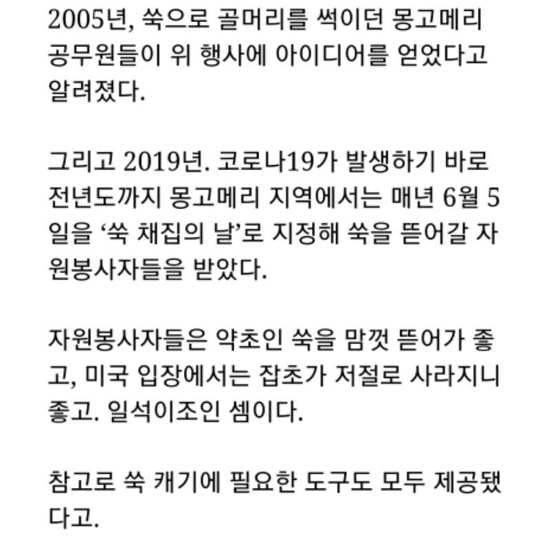 미국 : 공원에 한국인을 풀어라