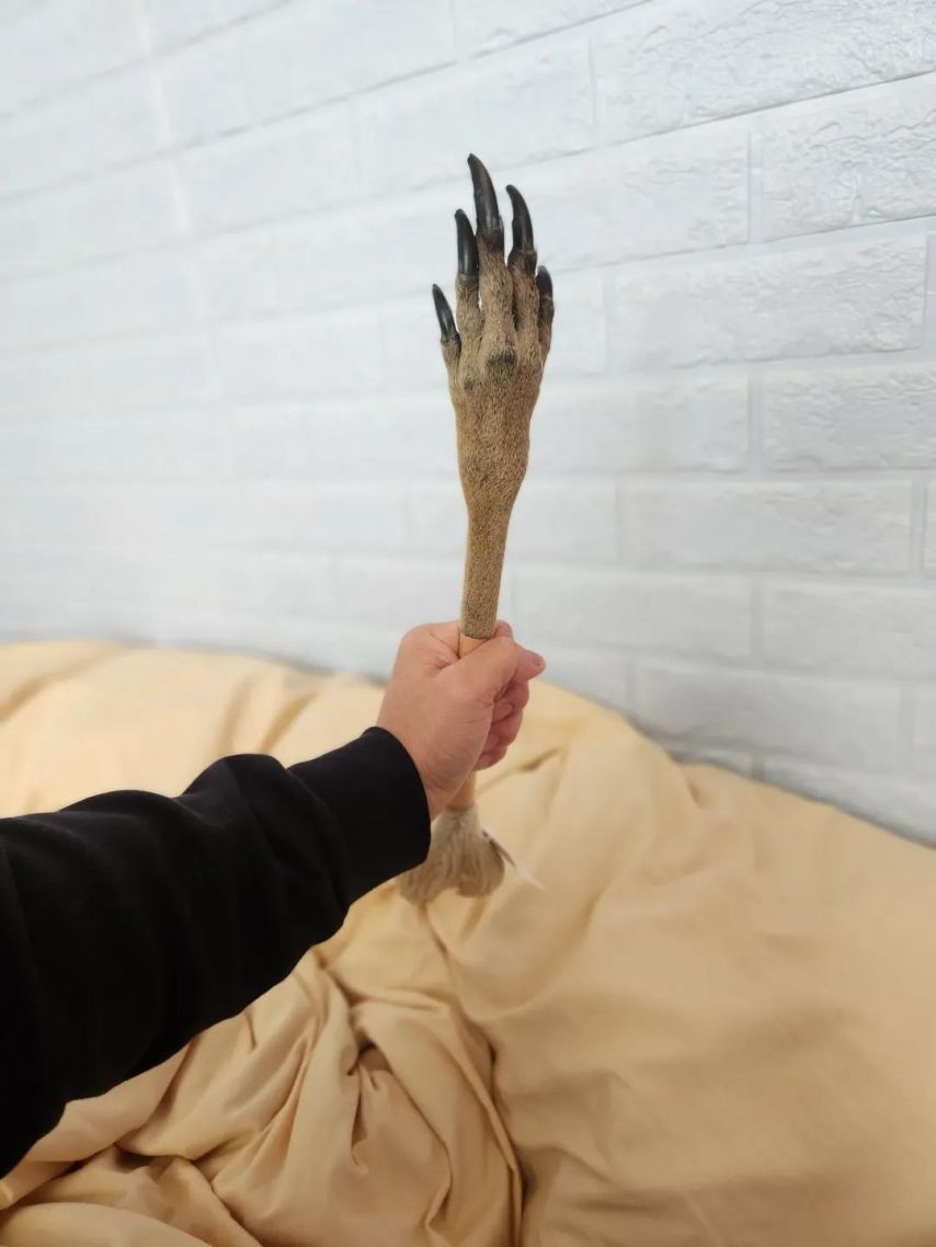 호주 특산품