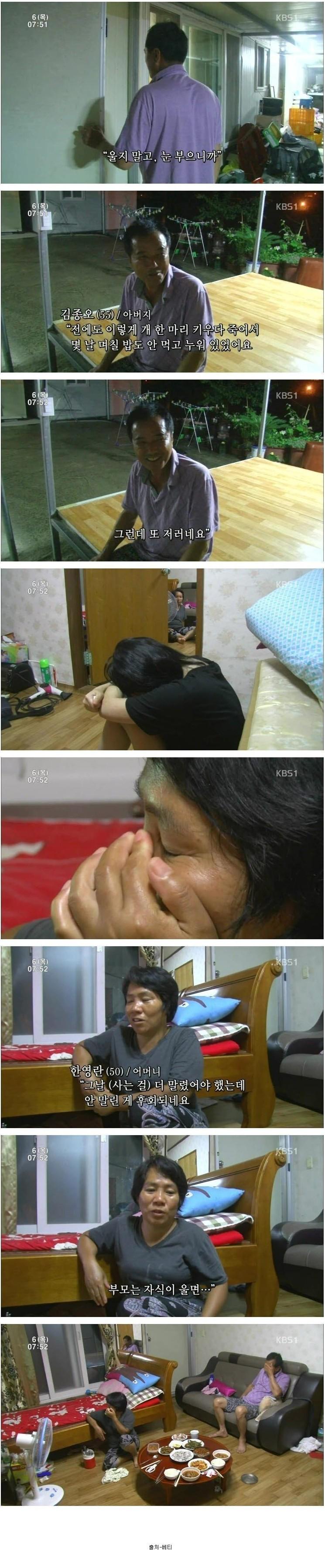시장에서 파는 강아지.jpg
