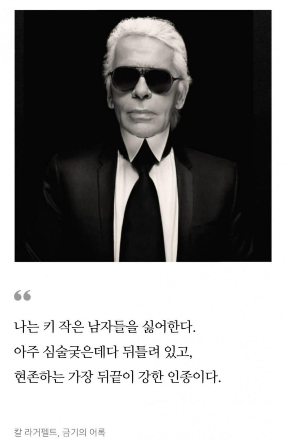 칼 라거펠트의 키작남에 대한 견해