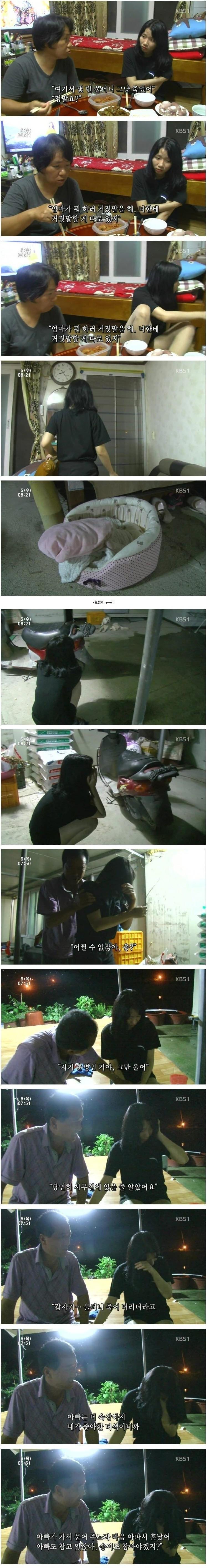 시장에서 파는 강아지.jpg