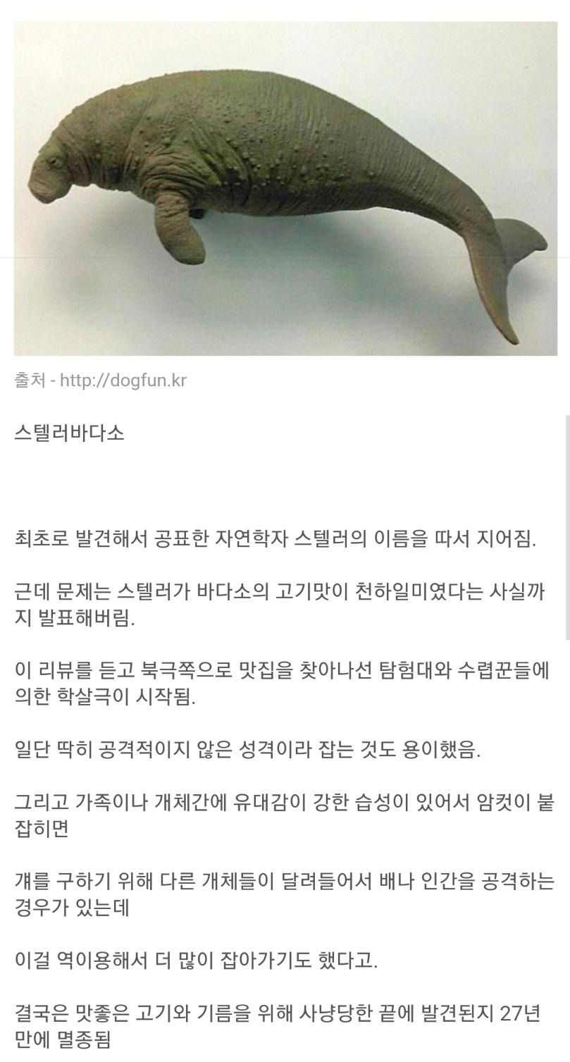 발견된지 27년만에 멸종 되어버린 동물