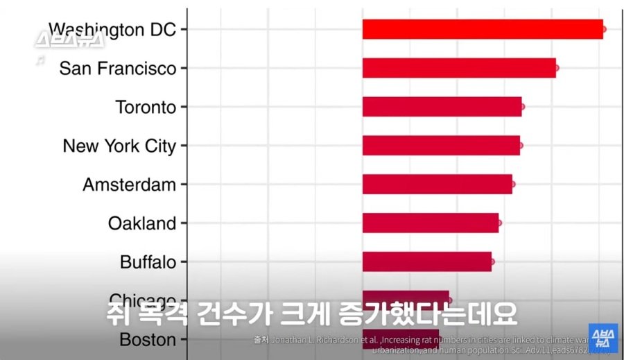 지구 온난화로 전 세계 390% 쥐가 늘었다