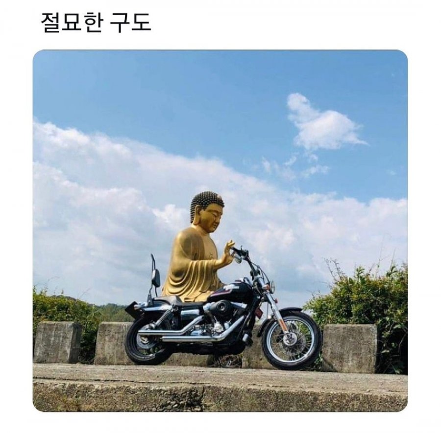 절묘한 구도