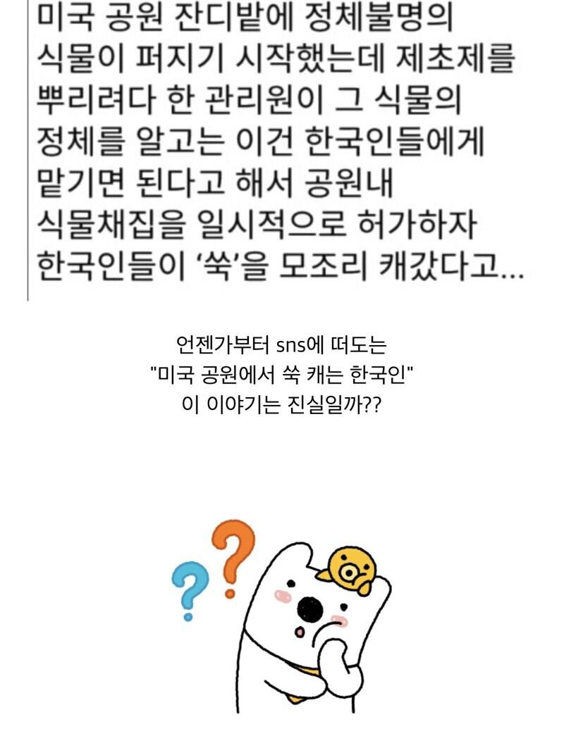 미국 : 공원에 한국인을 풀어라