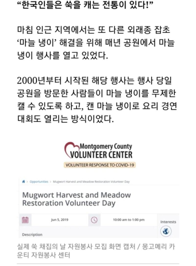 미국 : 공원에 한국인을 풀어라