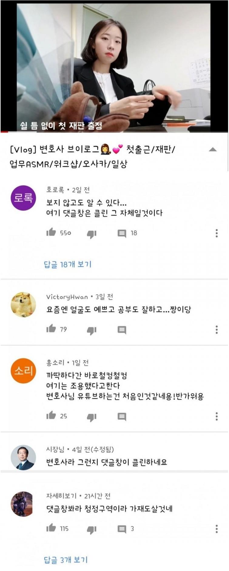 세상에서 제일 깨끗한 유튜브 댓글 창
