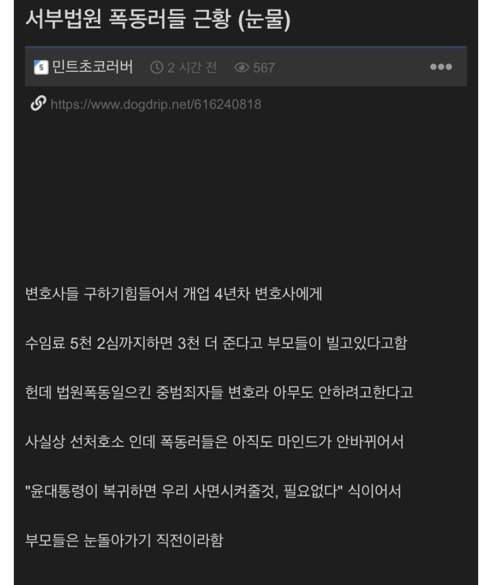 서부지법 폭동러들 근황.jpg