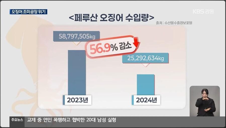 이슈) 진미채, 오징어 안주, 등등 오징어 가공류 근황 ㄷㄷ.jpg