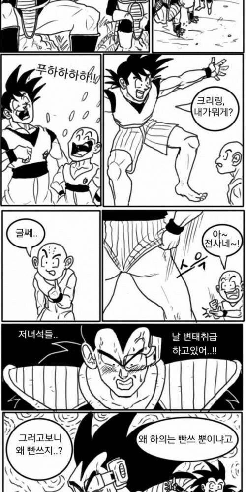 긍지높은 사이어인의 전사