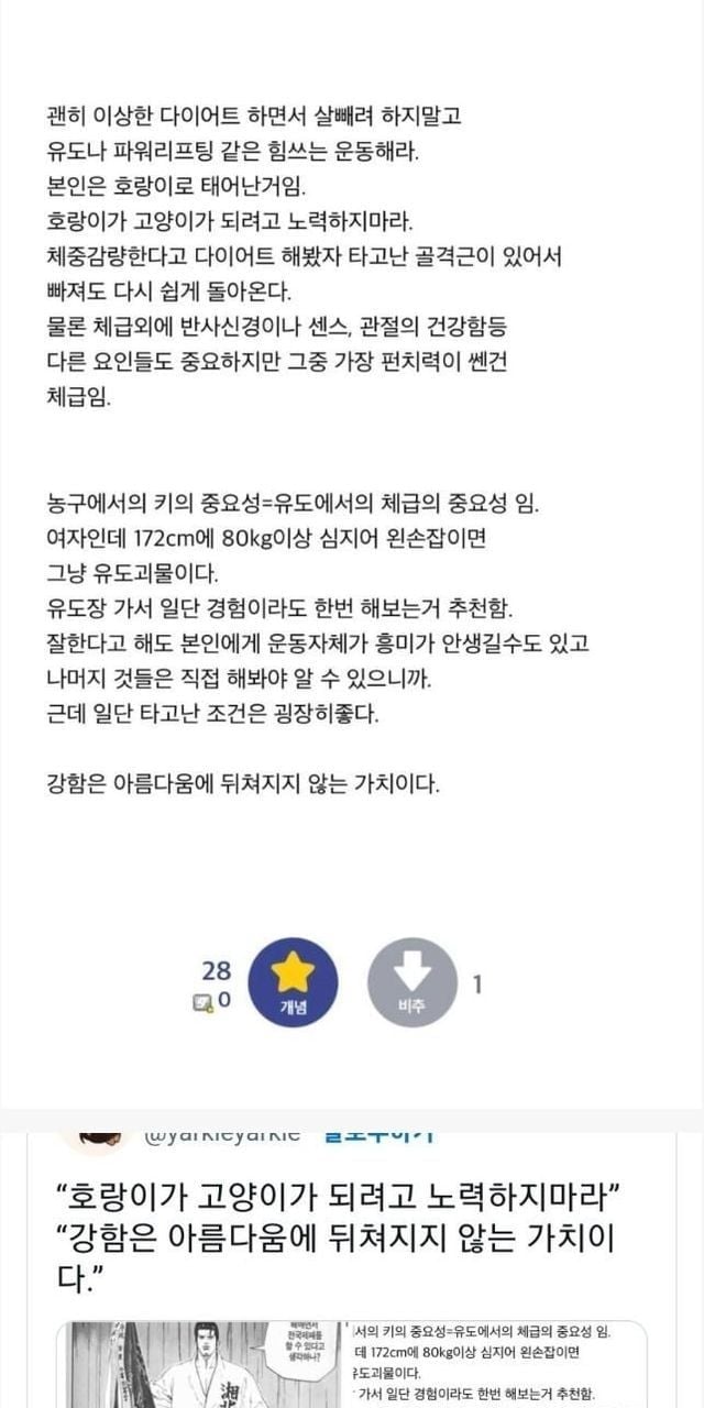 80kg 여자 물돼지인데 유도장 가도 됨?