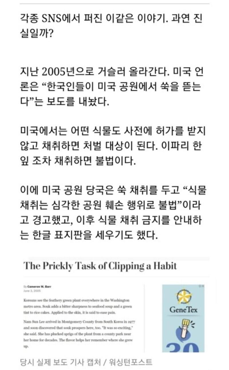 미국 : 공원에 한국인을 풀어라
