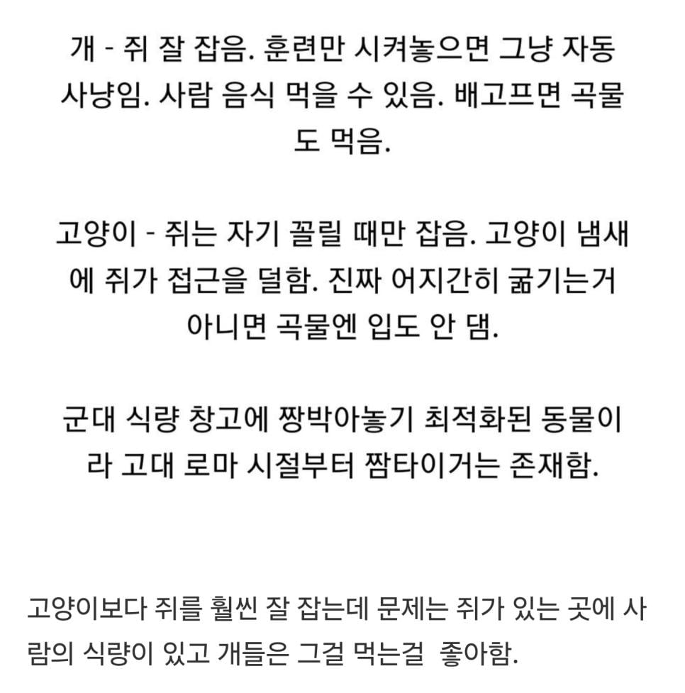 개가 쥐잡이에서 도태된 이유.jpg