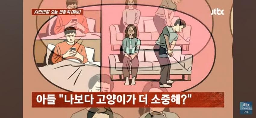 고양이털 알레르기 있는 아들한테 나가라고 한 부모