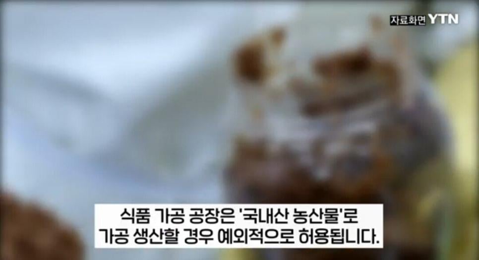 빽된장 YTN 보도