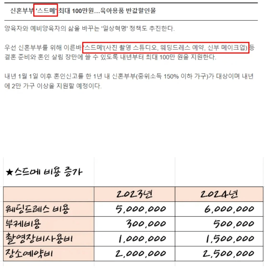 정부가 결혼식 스드메 비용 100만원 지원해주면 벌어지는 일