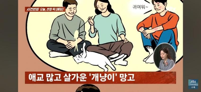 고양이털 알레르기 있는 아들한테 나가라고 한 부모