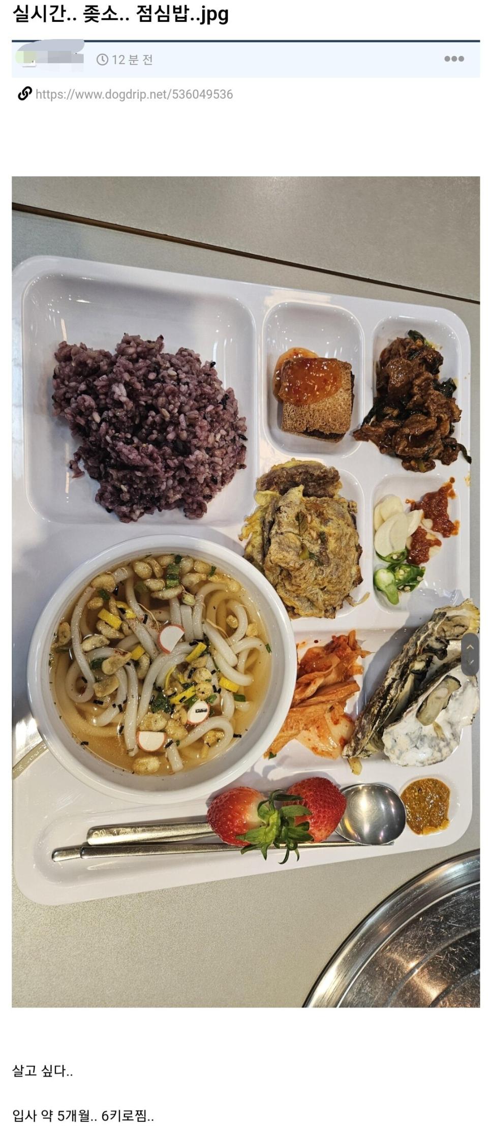 실시간 욕먹고 있는 좆소기업 점심밥 인증.jpg