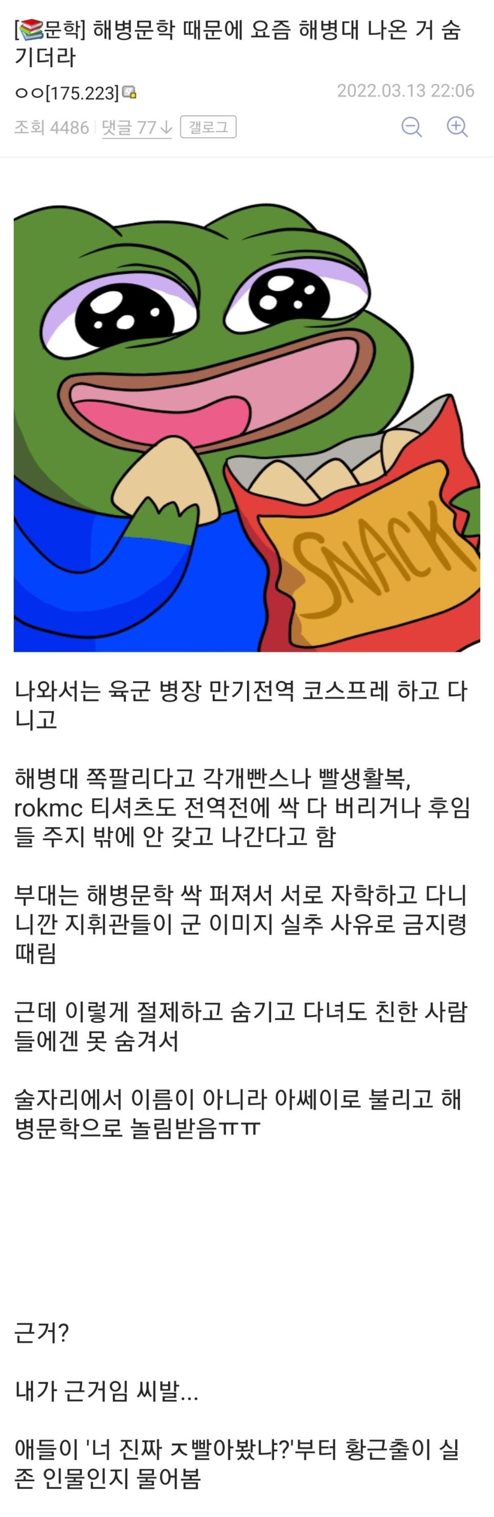 해병문학 때문에 해병대 출신인걸 숨기는 디씨인