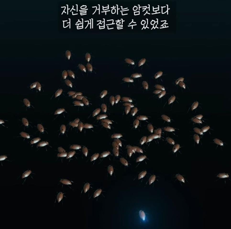거대 보석 딱정벌레가 급감했던 이유
