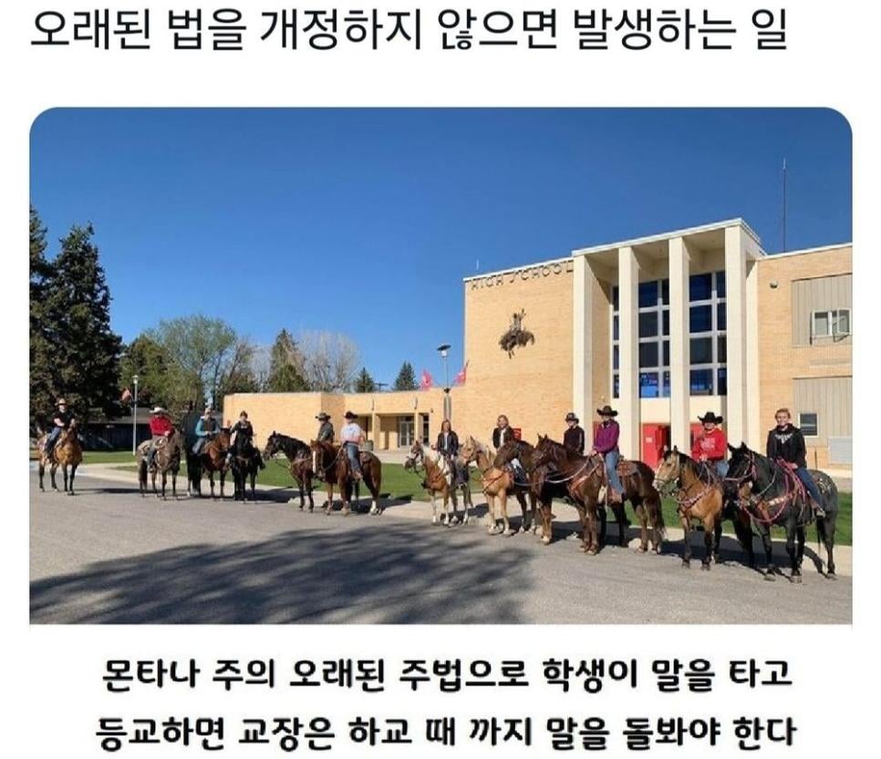 미국 고딩들 : 교장 선생님, 고생 좀 하시죠