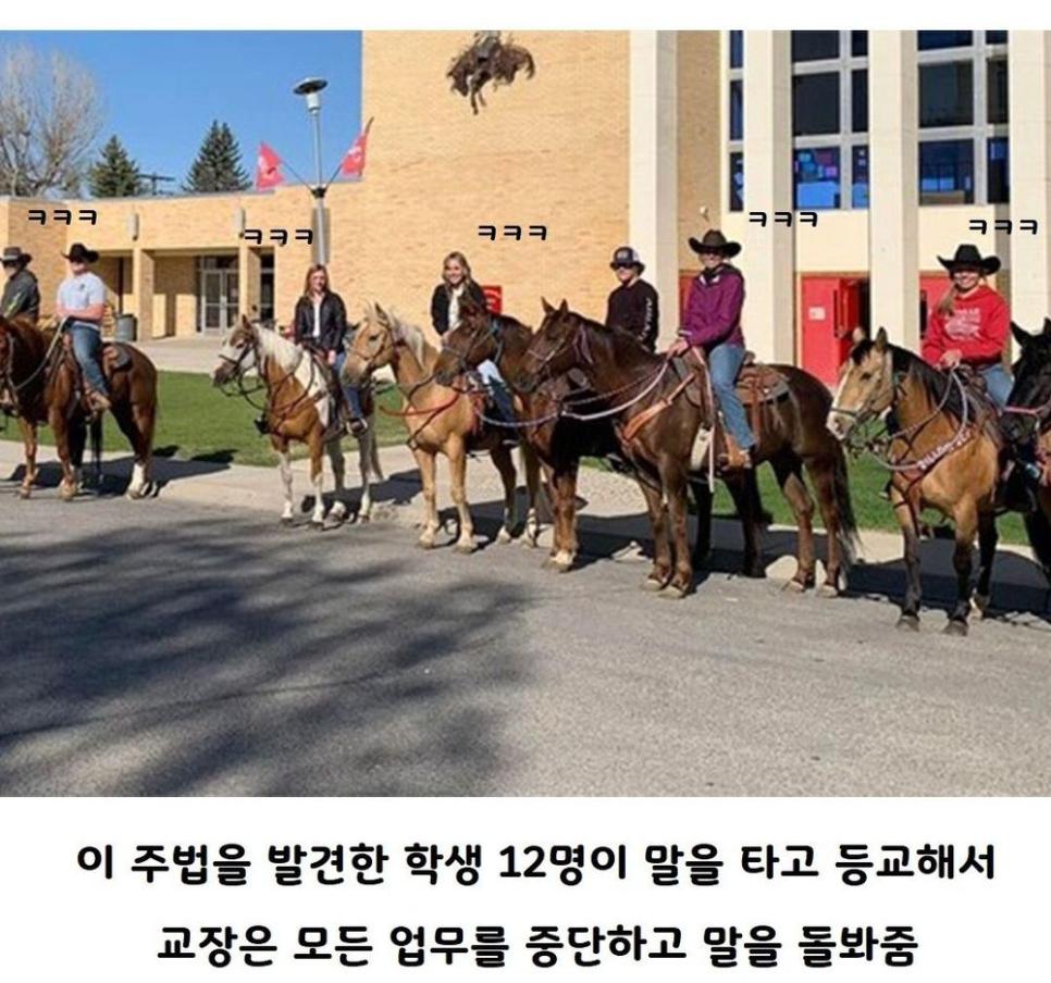 미국 고딩들 : 교장 선생님, 고생 좀 하시죠