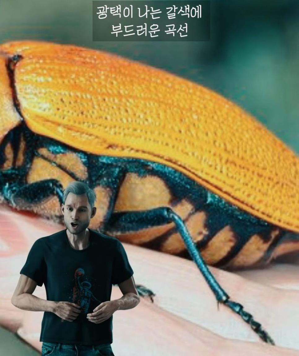 거대 보석 딱정벌레가 급감했던 이유