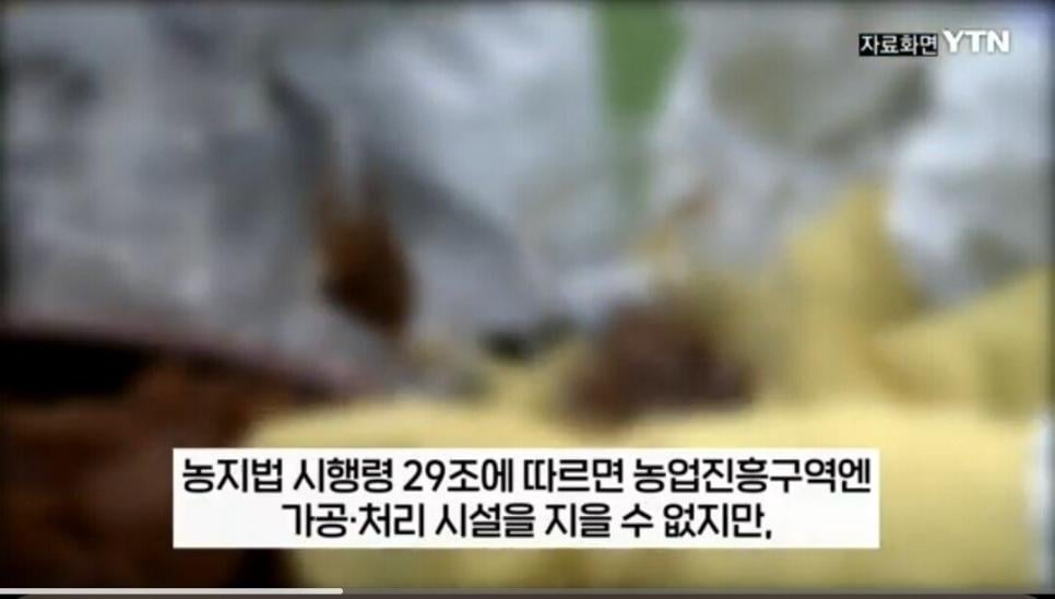빽된장 YTN 보도