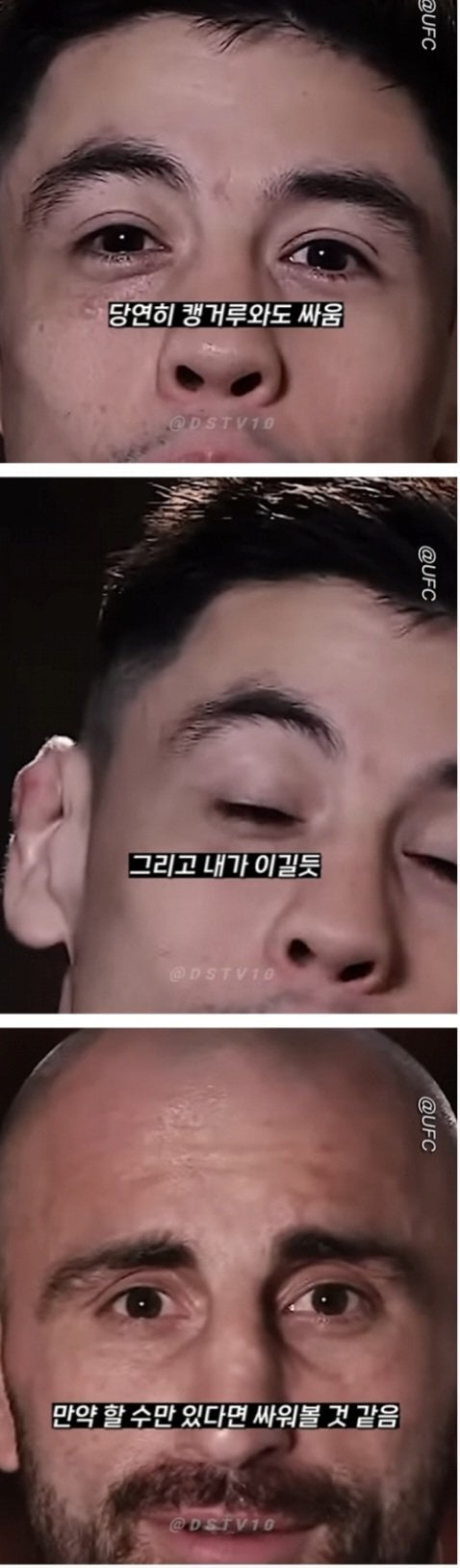 UFC 선수들이 입모아서 말하는 이길수 있는 동물 TOP1 