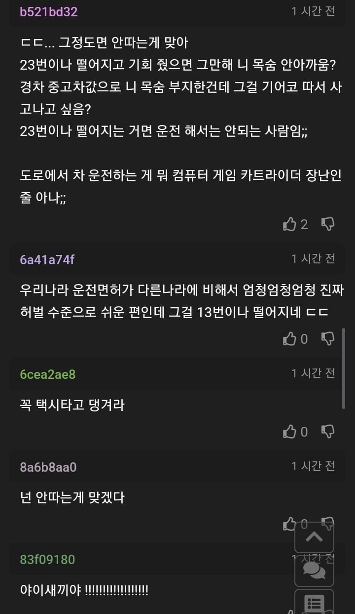 이번에는 면허시험 붙고 싶다는 사람+후기