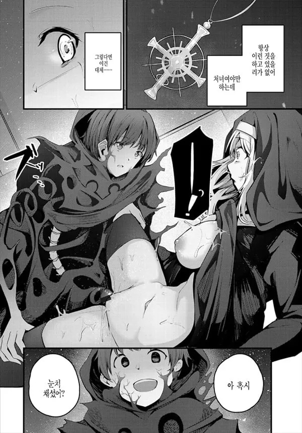시스터의 분실물