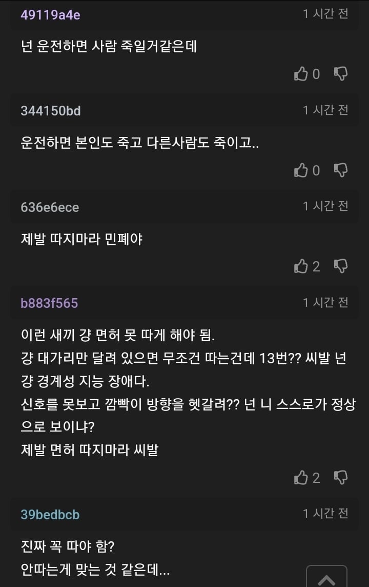 이번에는 면허시험 붙고 싶다는 사람+후기