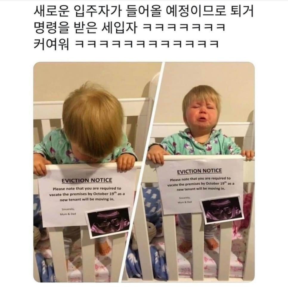 강제 퇴거 당한 세입자들.jpg