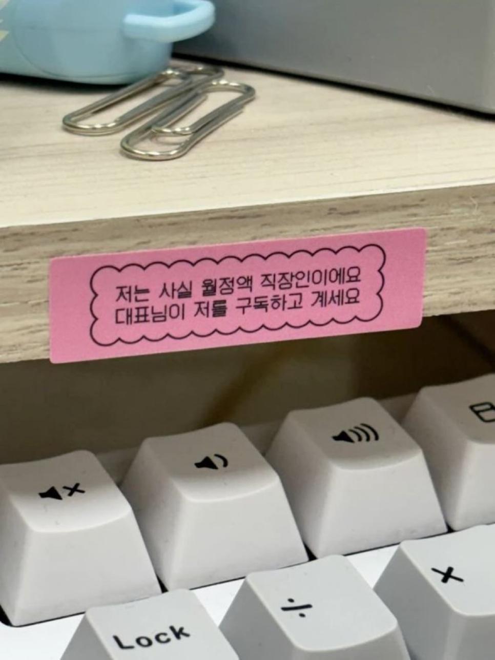 최신 구독서비스 근황.jpg
