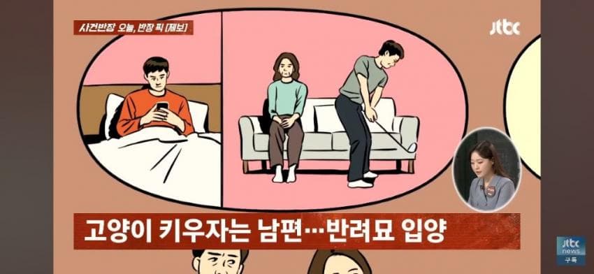 고양이털 알레르기 있는 아들한테 나가라고 한 부모