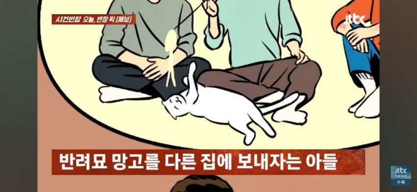 고양이털 알레르기 있는 아들한테 나가라고 한 부모