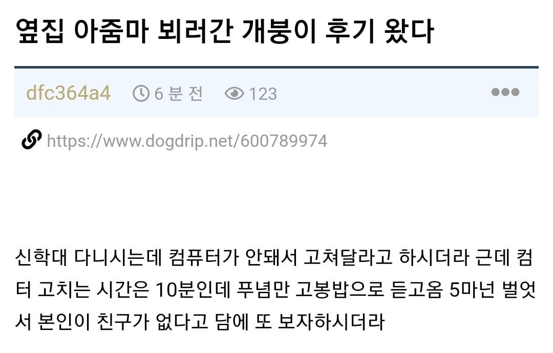 옆집 아줌마 집에 컴퓨터 가르쳐주러간 개붕이