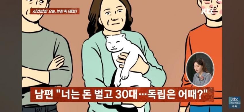 고양이털 알레르기 있는 아들한테 나가라고 한 부모