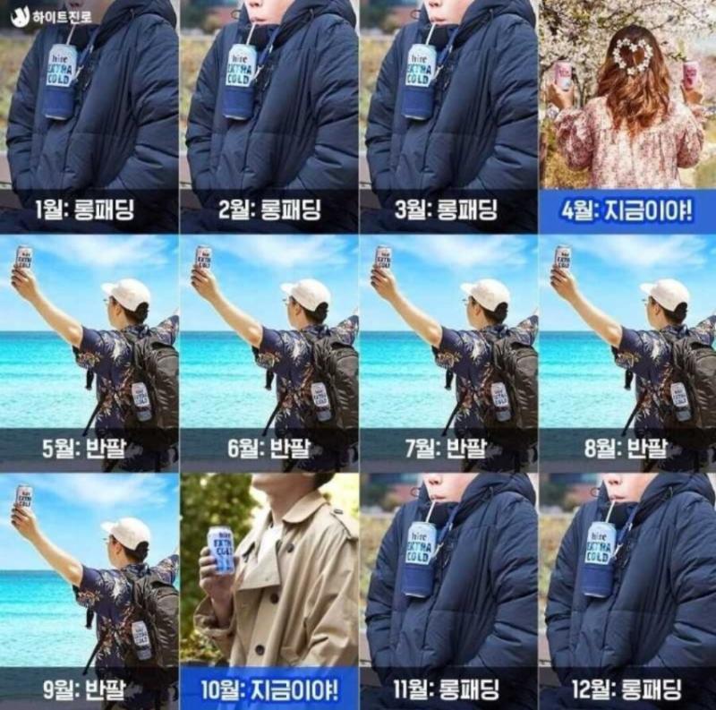 한국인 1년 의상 요약