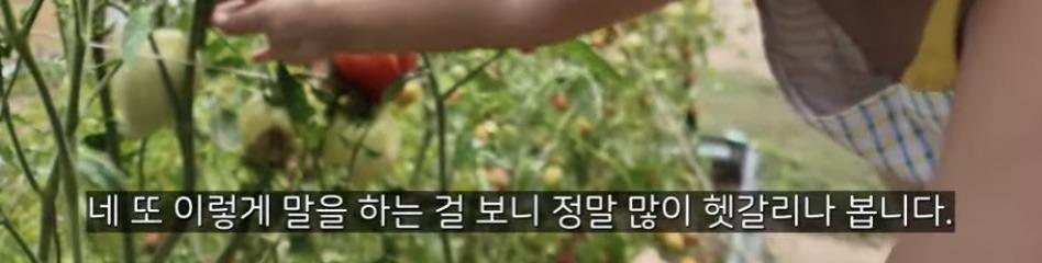 이중언어로 자녀를 키울때 주의할점