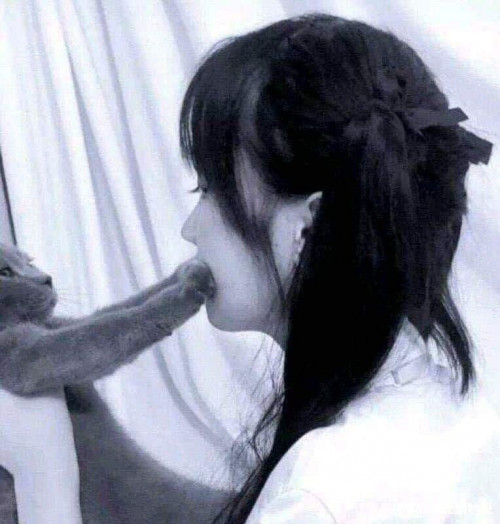 일명 냥까시?