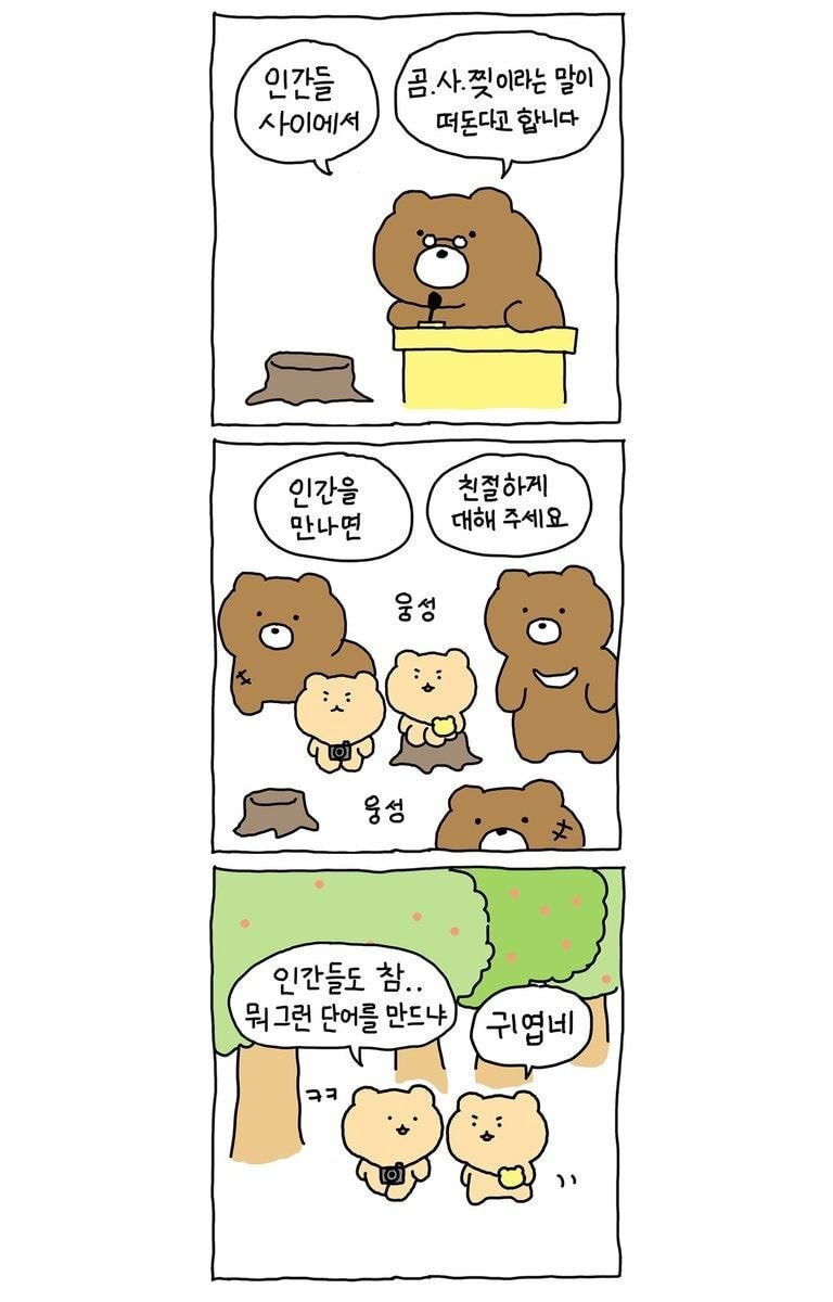 유행어를 잘못 알아들은 곰.manhwa