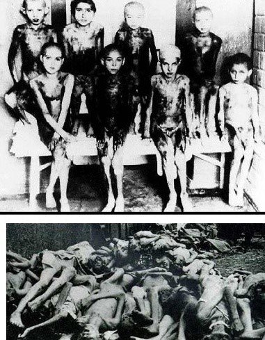 나치의 유대인 학살 합리화하는 글 올라온거 존나 소름 돋네...