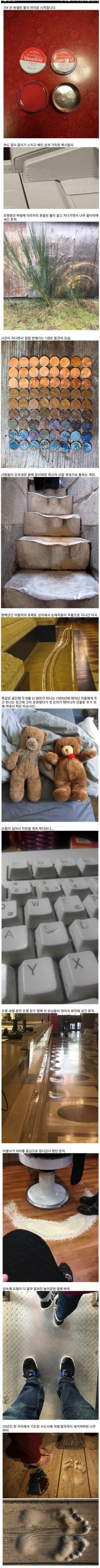 신기한 세월의 흔적