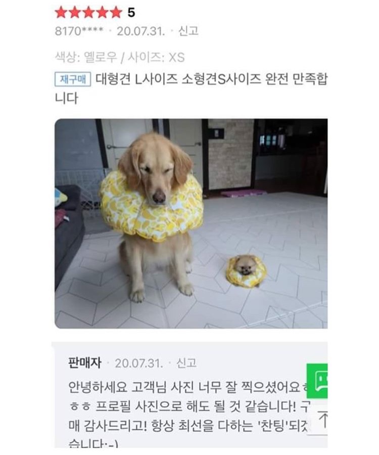 강아지 넷카라 후기