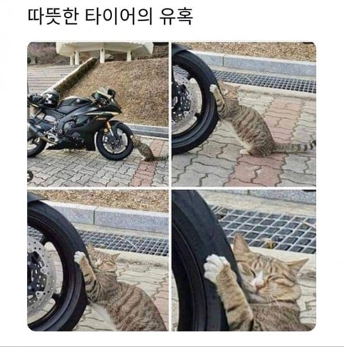 따뜻한 유횩