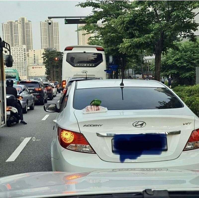 삼겹살과 쌈장의 나들이