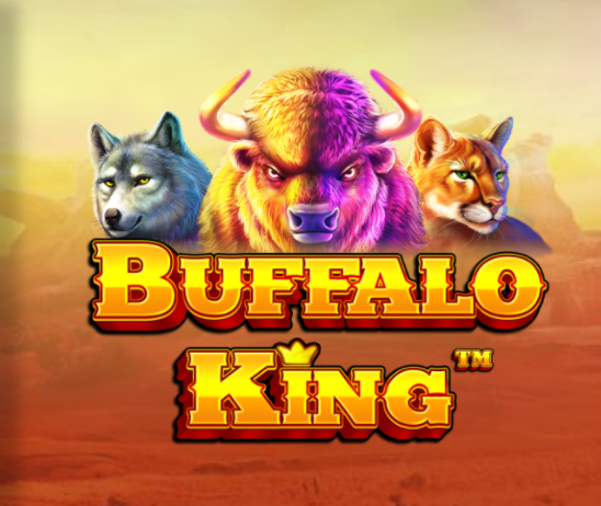 슬롯게임리뷰 버팔로 킹 Buffalo King