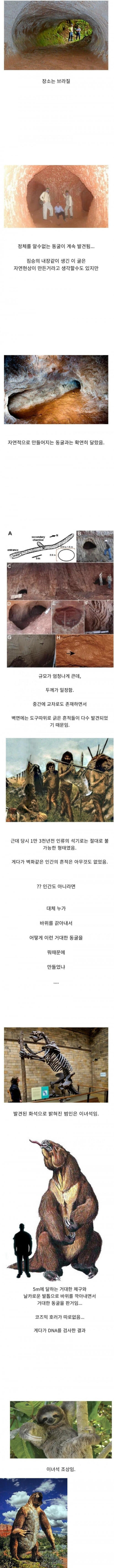 정체를 알 수 없었던 땅굴의 실체 ㄷㄷㄷ